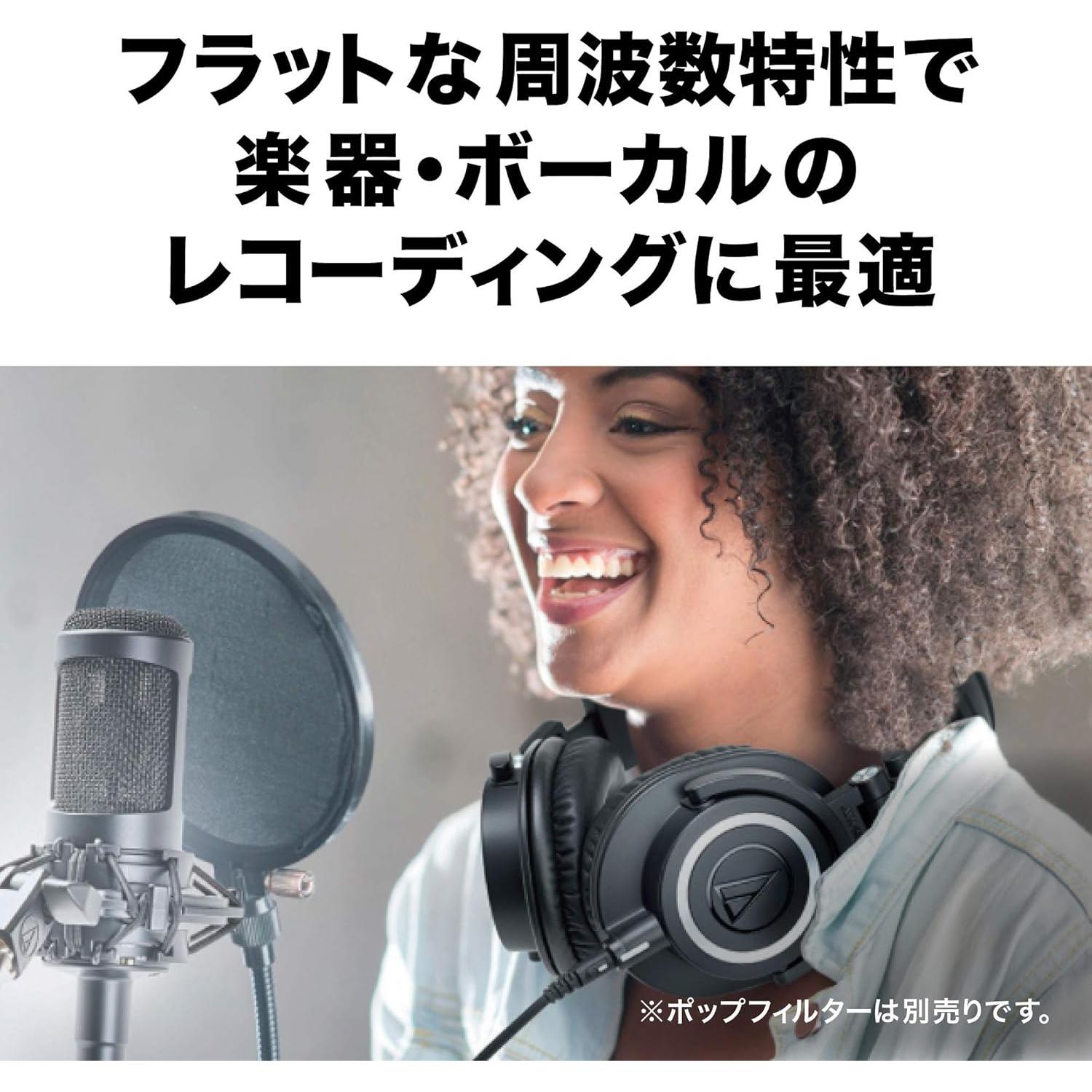 Micrófono de condensador Audio-Technica AT2035 cardioide 400g