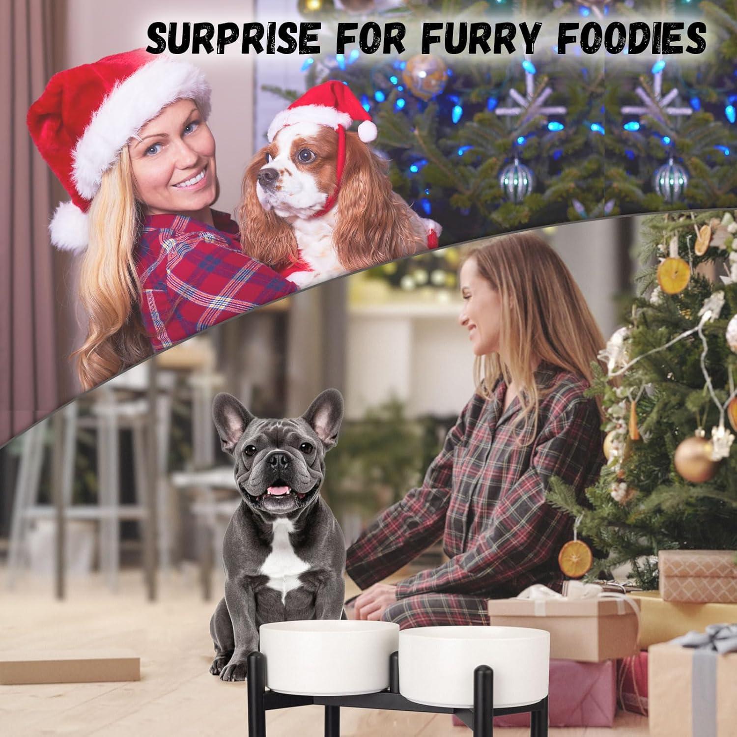 Juego de Cuencos Elevados para Perros PTOBER - Cerámica y Acero Inoxidable