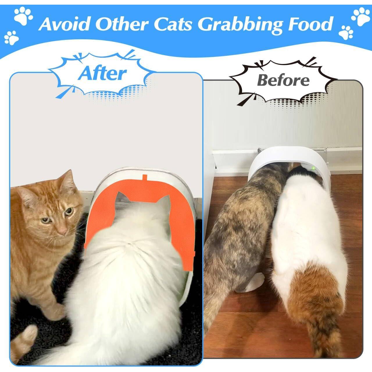 Cubierta Frontal para Comedero Automático de Microchip GUSUCIN - Naranja