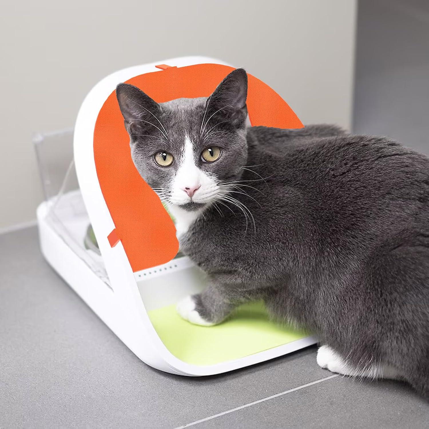 Cubierta Frontal para Comedero Automático de Microchip GUSUCIN - Naranja