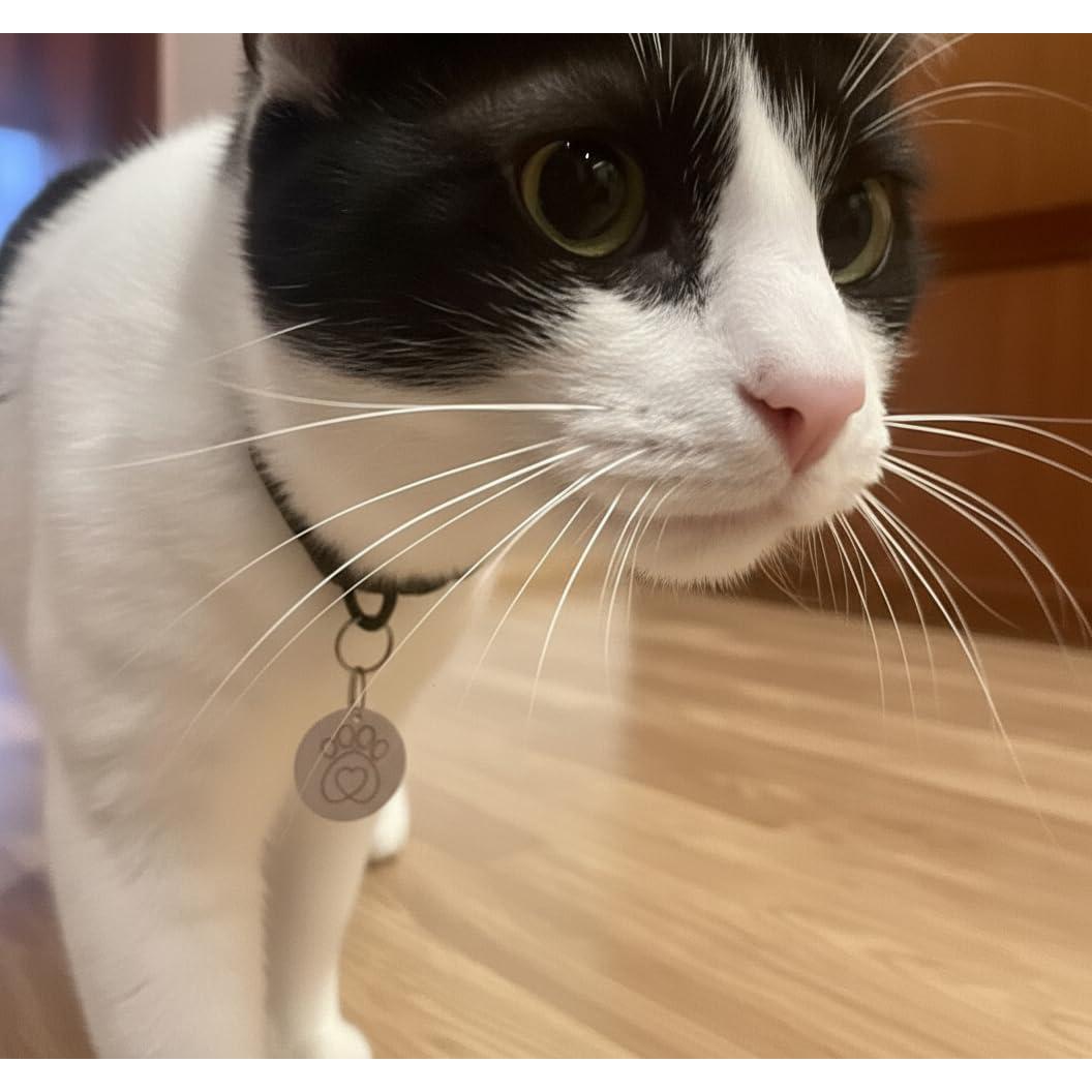 Etiquetas RFID para Collar SureFlap - Paquete de 2