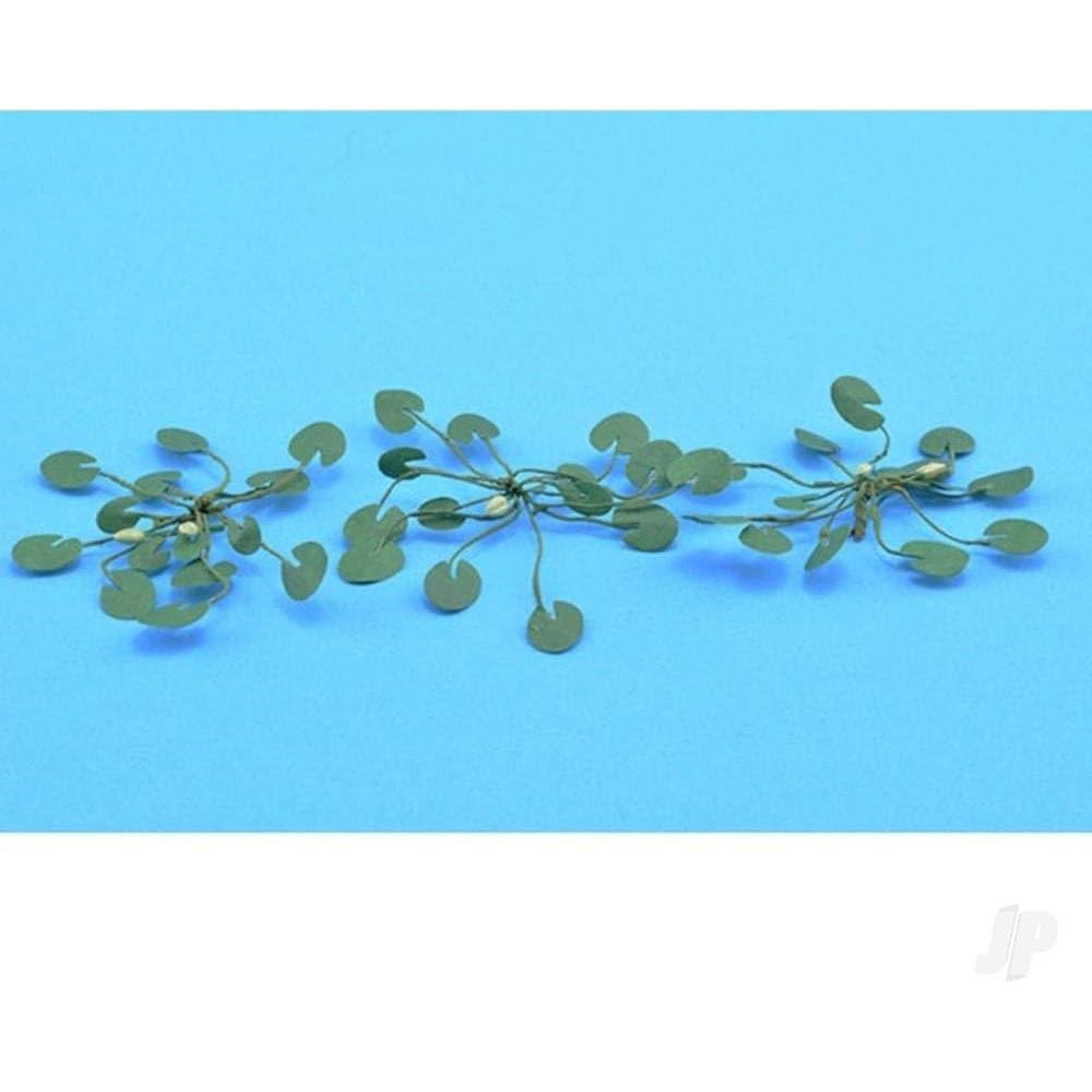 Plantas de Jardinería Nenúfares HO JTT 12 Unidades 1.9 cm