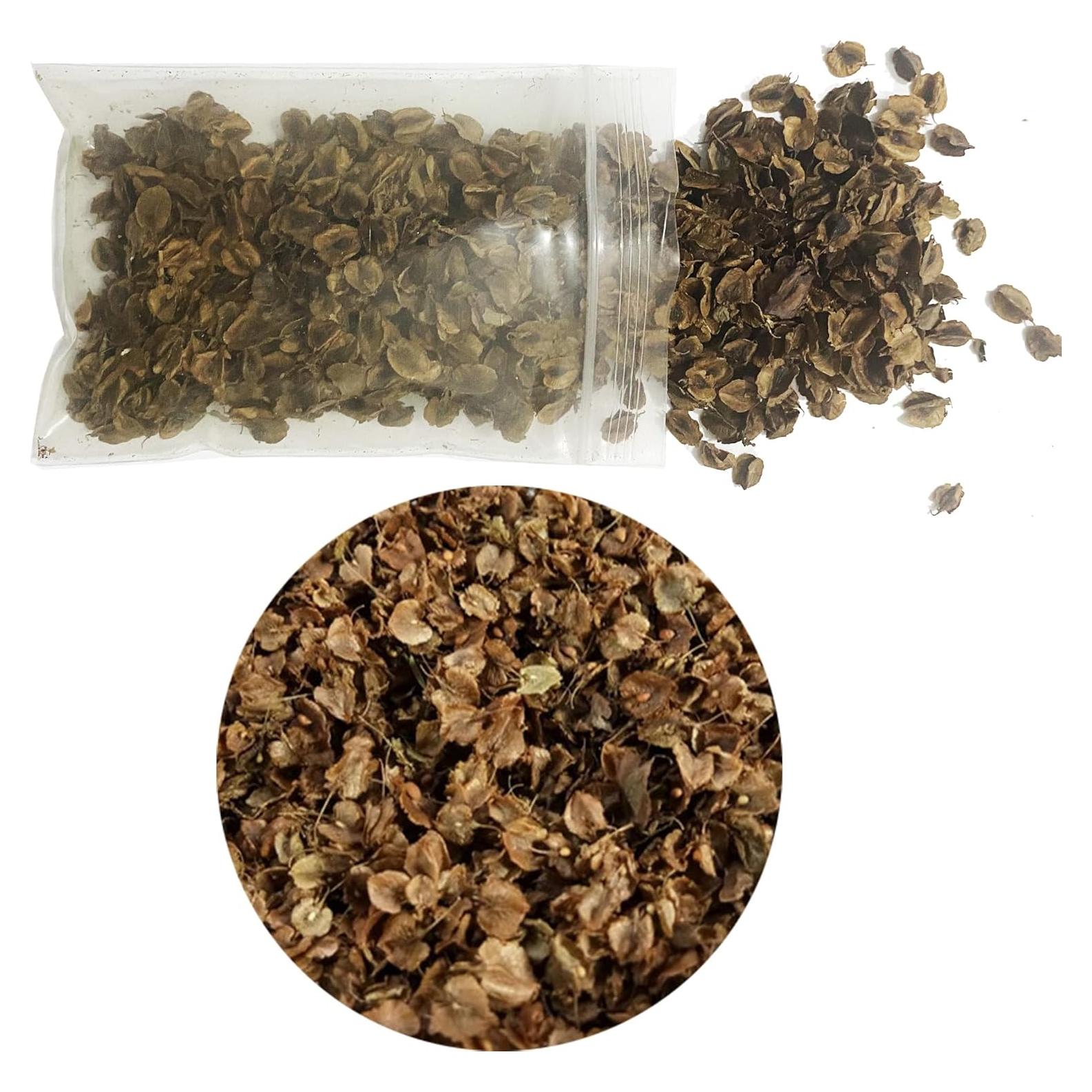 Hojas Miniatura Realistas Cayway para Diorama Jardín 80ml