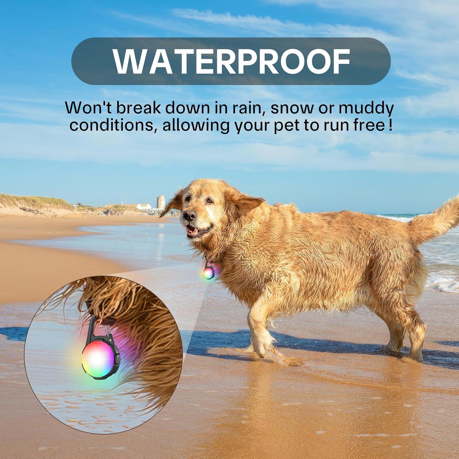 Luces LED para Collares de Perro Coolice GD-03, Recargables e Impermeables