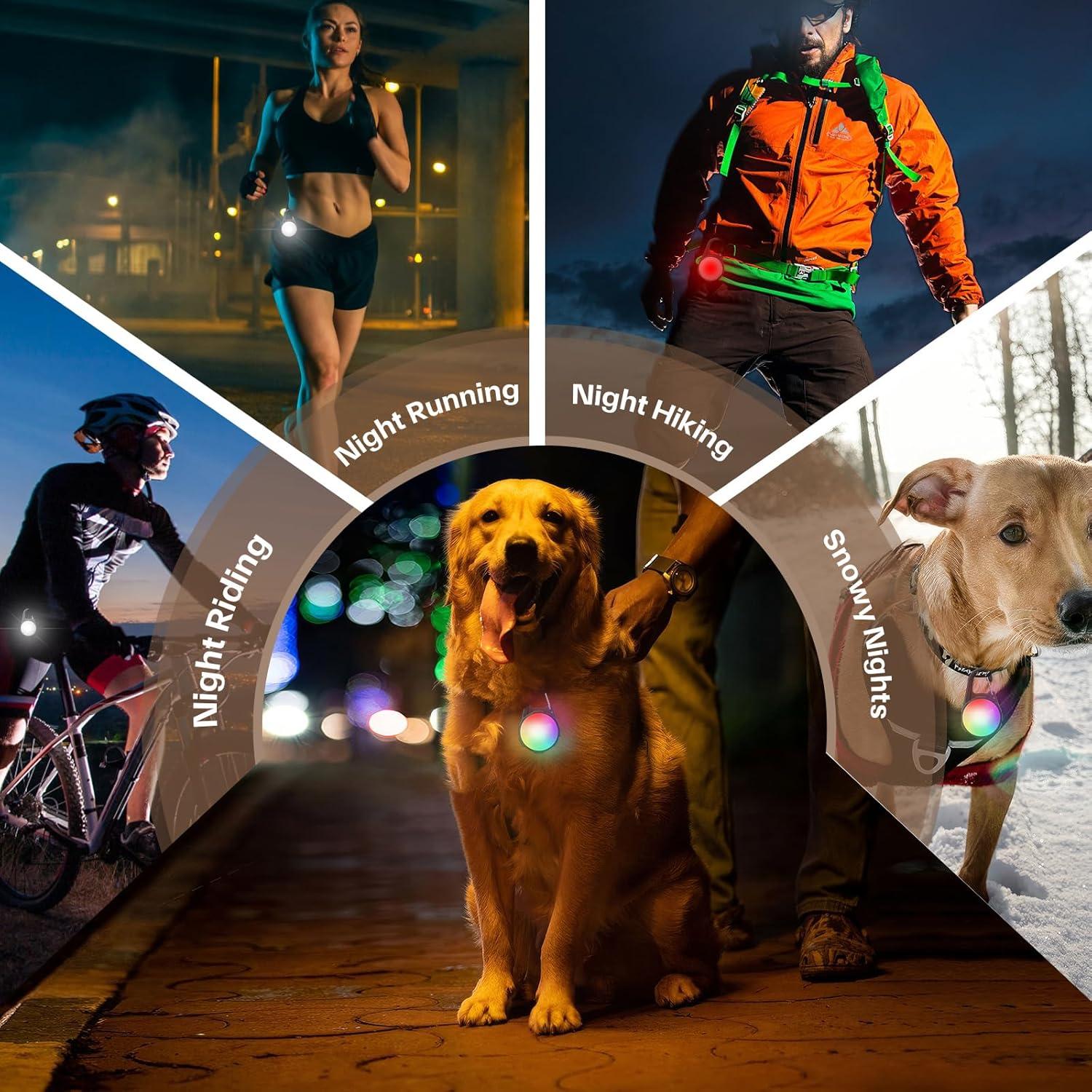 Luces LED para Collares de Perro Coolice GD-03, Recargables e Impermeables