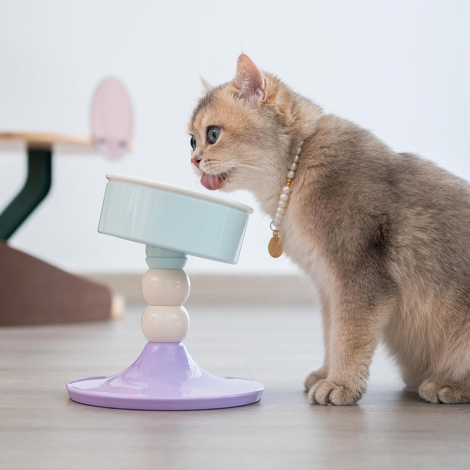 Cuenco Elevado de Cerámica Petmate para Gatos y Perros Pequeños