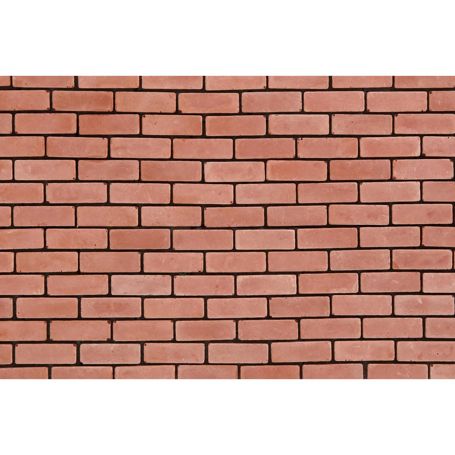 1000 Ladrillos Miniatura Rojos para Manualidades REDUCIO!