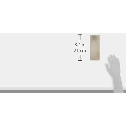 Piedra de Afilar DMT D8X Diamante Extra Grueso 220 - 20.32x7.62 cm