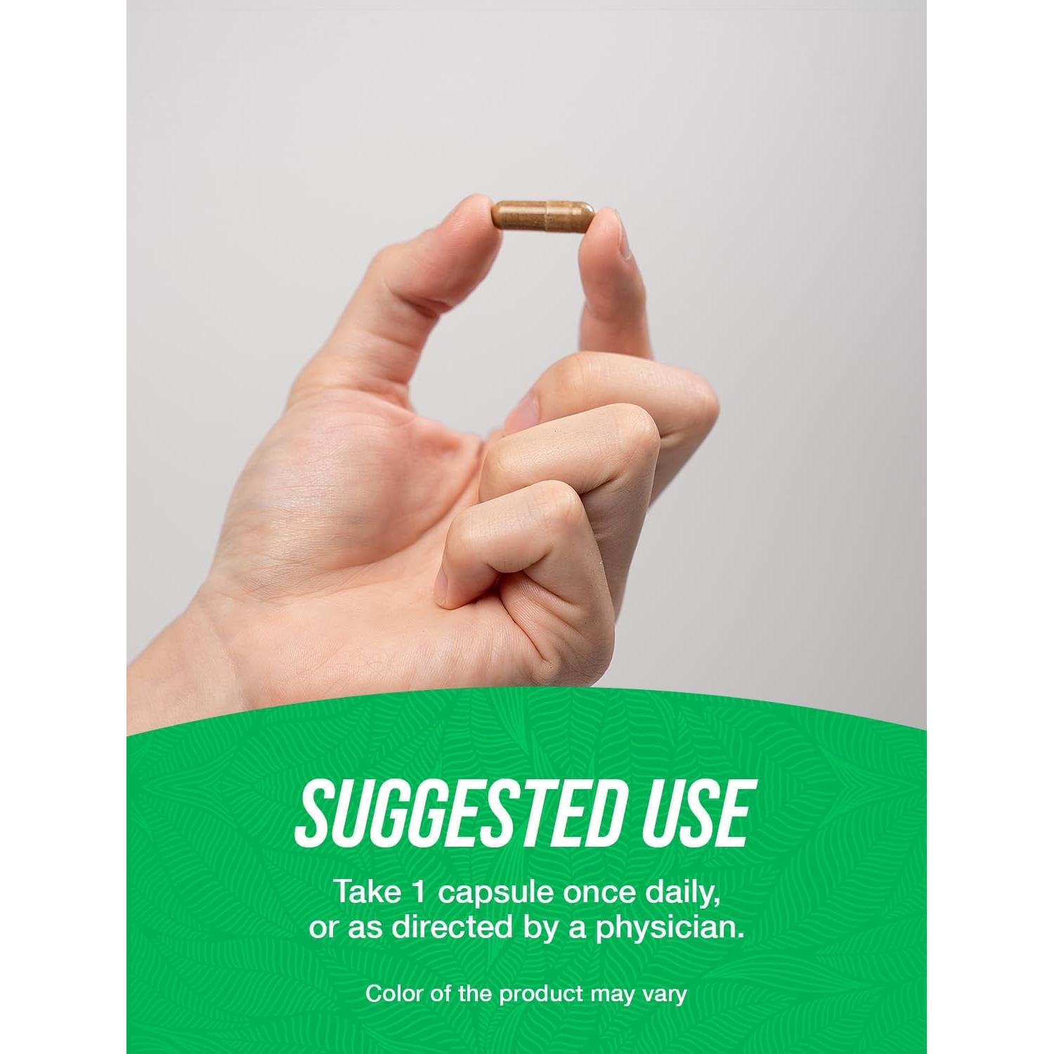 Cápsulas de Extracto de Corteza de Pino BulkSupplements 300mg - 240 Unidades