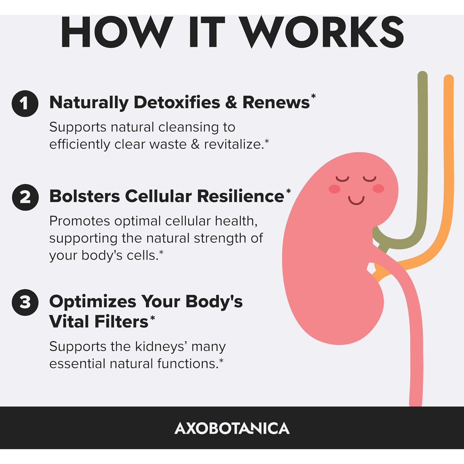 Suplemento Herbal para Riñones Axobotanica 120 Cápsulas