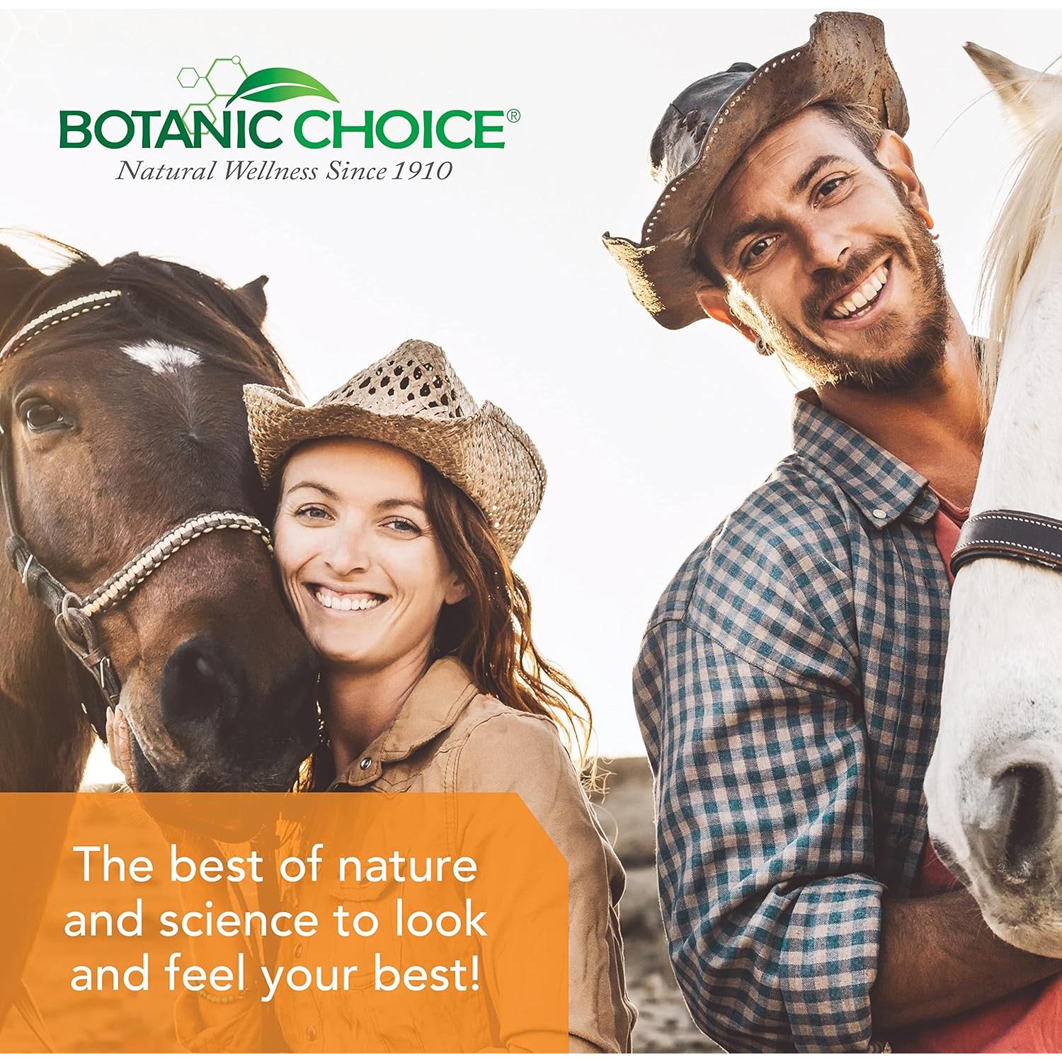 Fibra de Avena Botanic Choice 90 Tabletas 1000mg Suplemento Digestivo