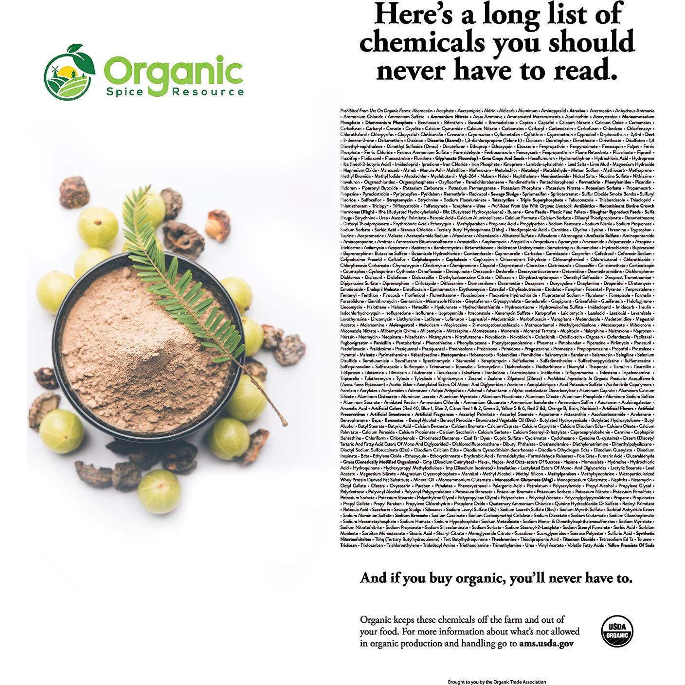 Polvo de Amla Orgánico 226g | Grosella India | 100% Puro