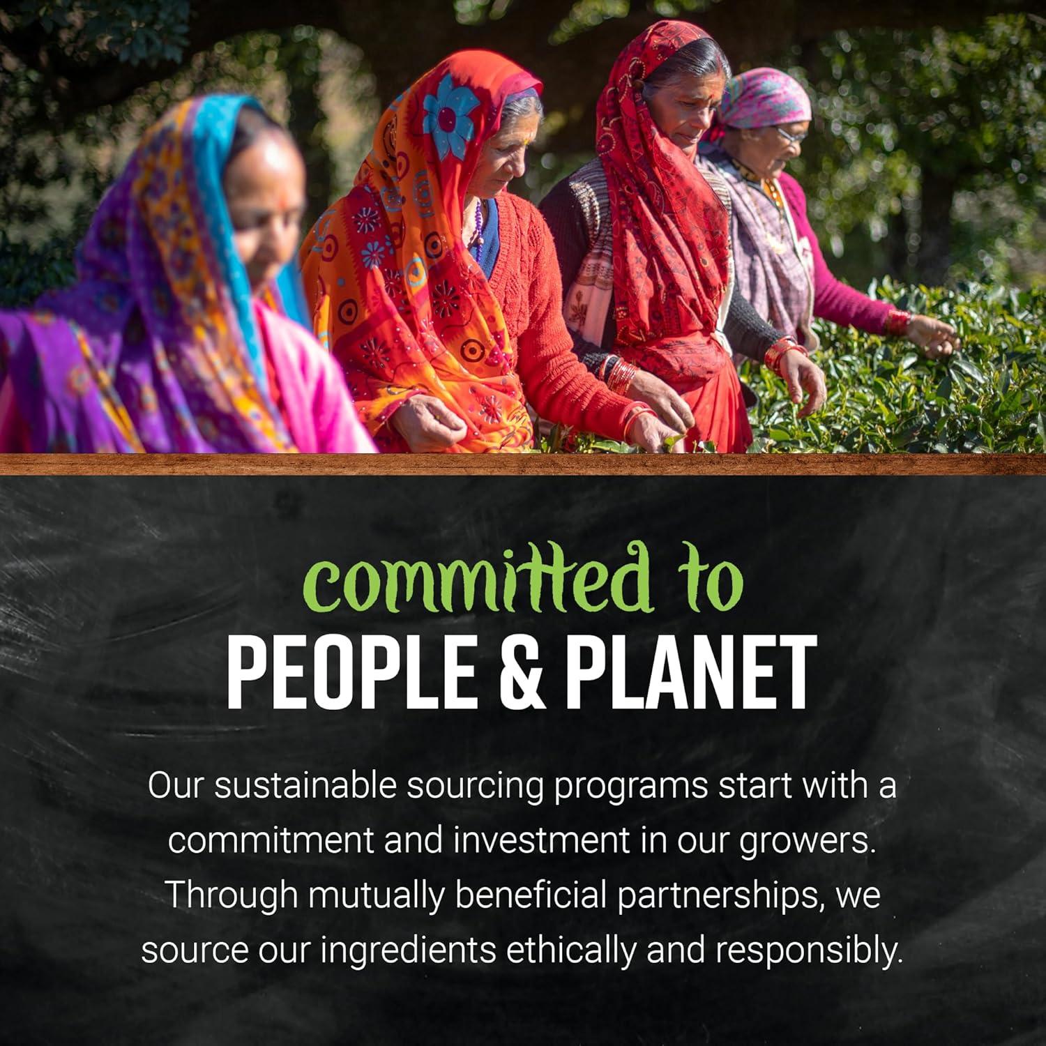 Especia Orgánica de Hoja de Salvia Frontier 22.68g