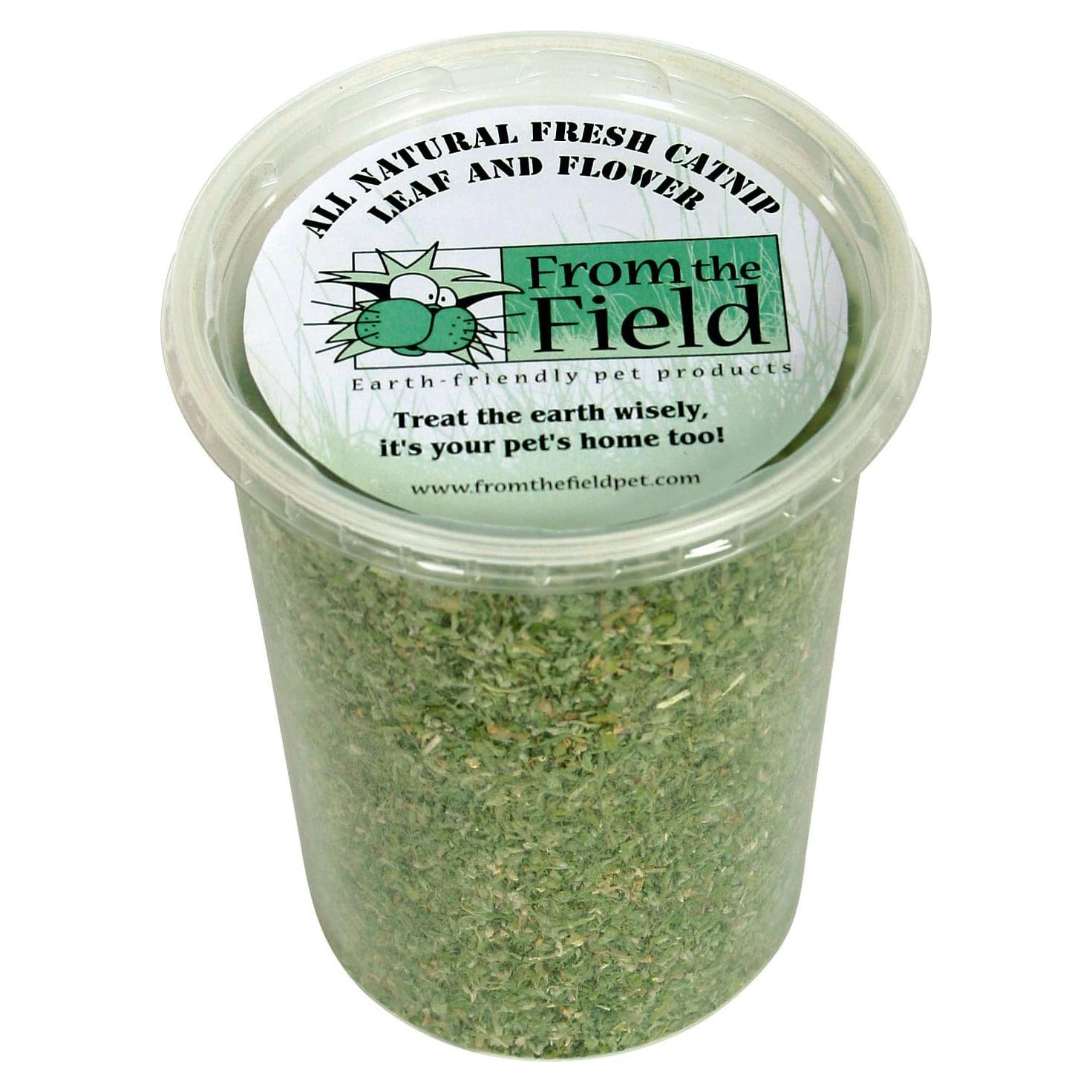 Nepeta Cataria Orgánica De The Field 99.22 g - Tubo Reutilizable