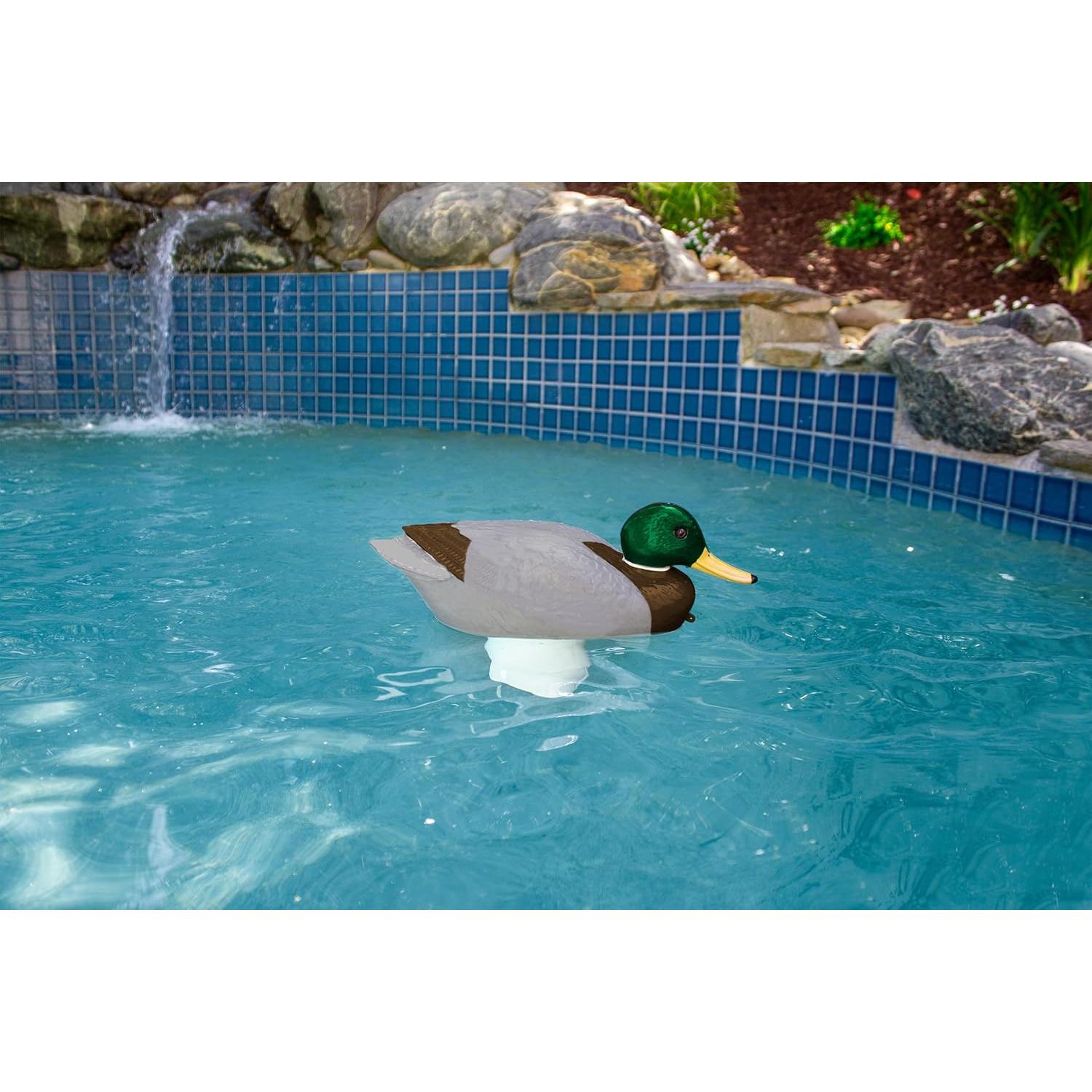 Dispensador de Cloro Flotante Poolmaster 32130 para Piscinas