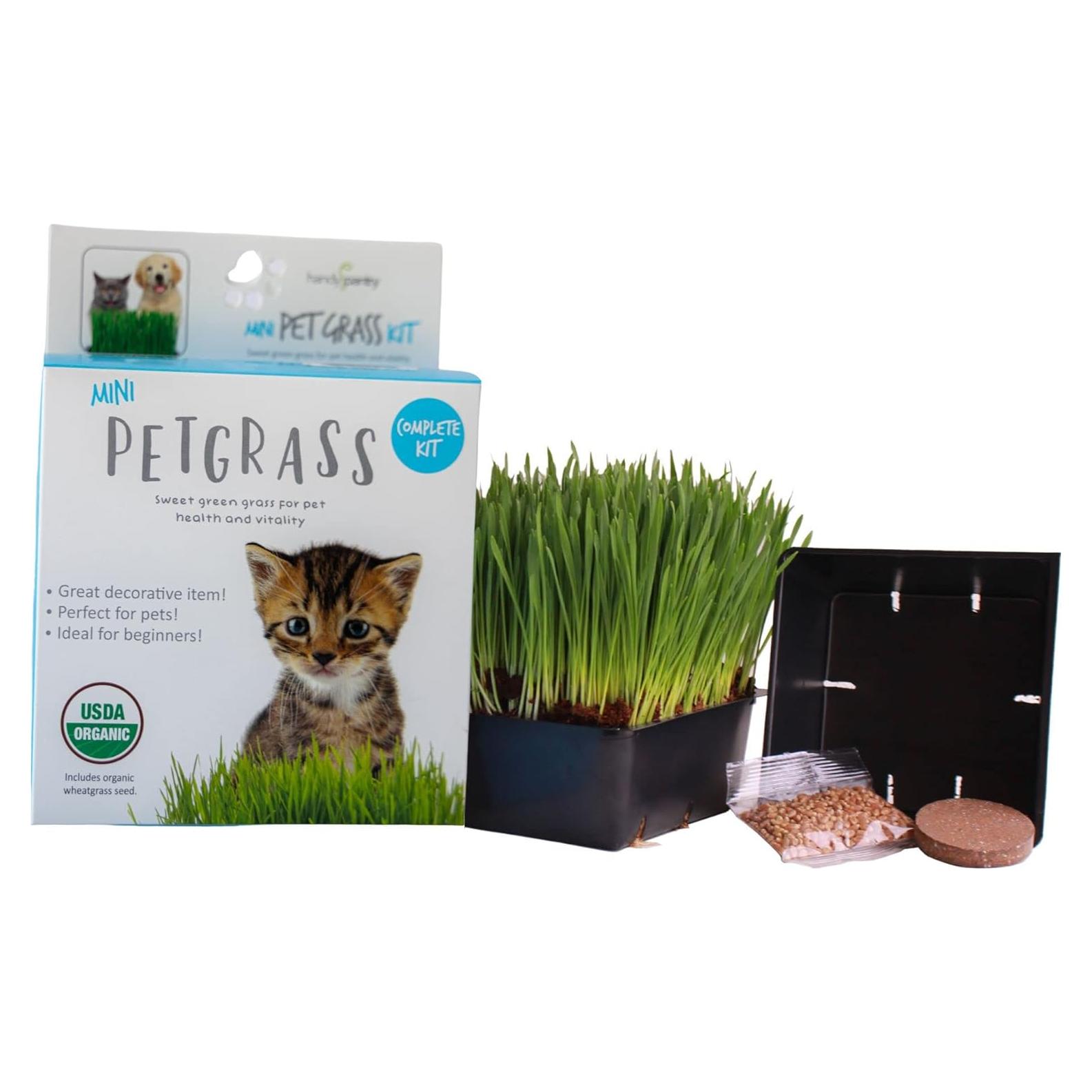 Kit de Hierba Orgánica para Gatos Handy Pantry - 1 Bandeja y Semilla