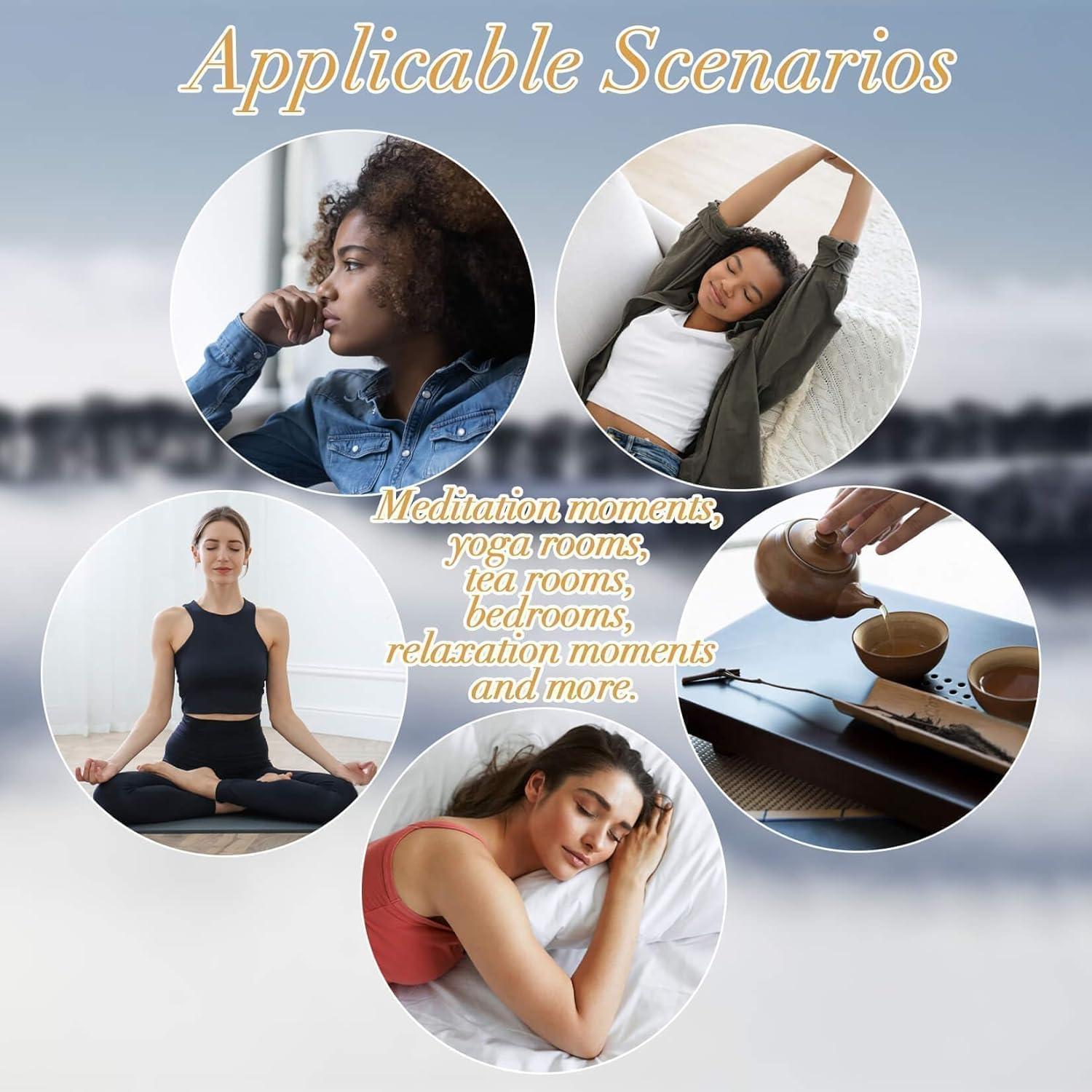 Conos de Incienso de Retroceso Sukh - 108 PCS Aromatizados