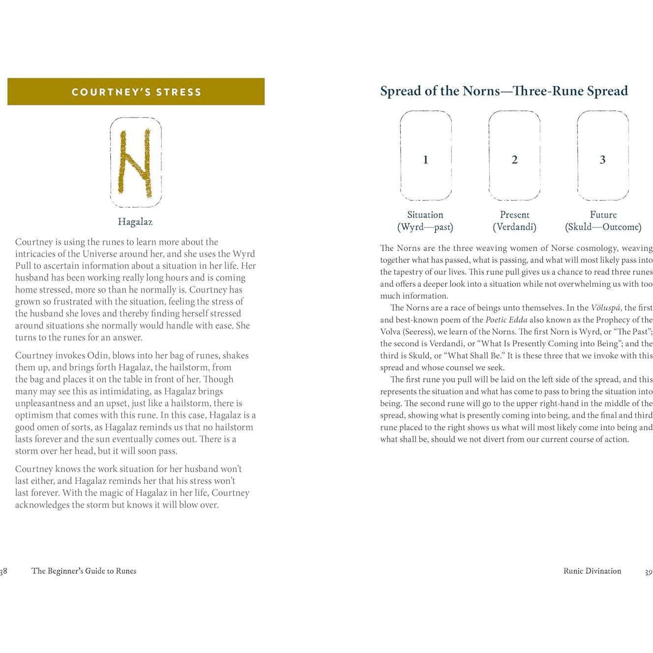 The Beginner's Guide to Runes: Divination and Magic with the Elder Futhark Runes