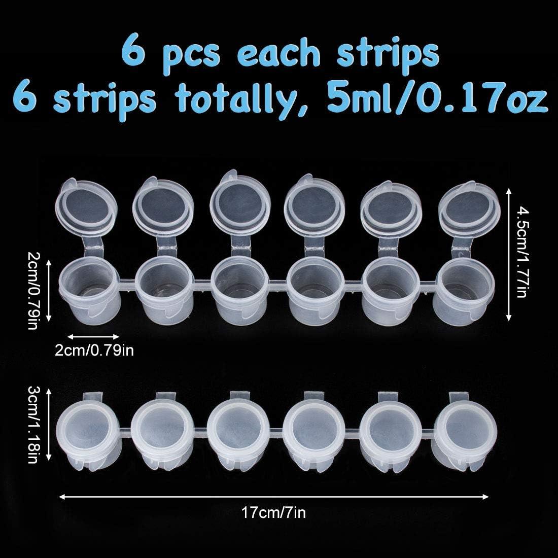 36 Tarros de Pintura Vacíos 5 ml con Tapas - BAGTeck
