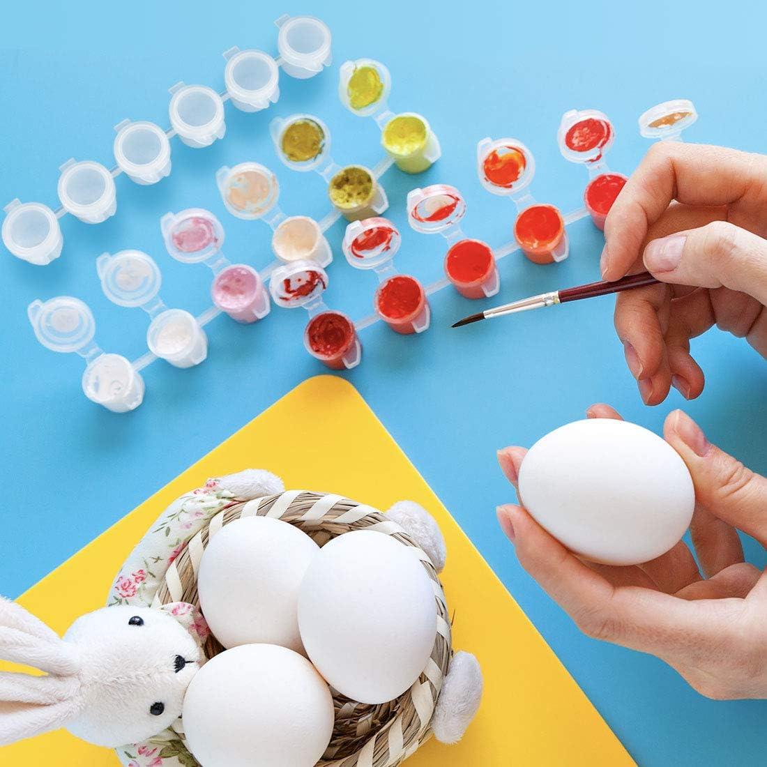 36 Tarros de Pintura Vacíos 5 ml con Tapas - BAGTeck