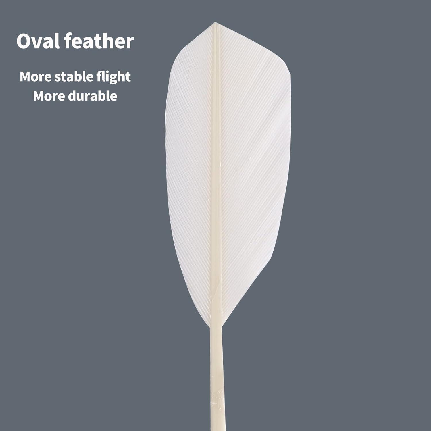 Plumas de bádminton TENGAOSI 12PCS con plumas de pato y corcho