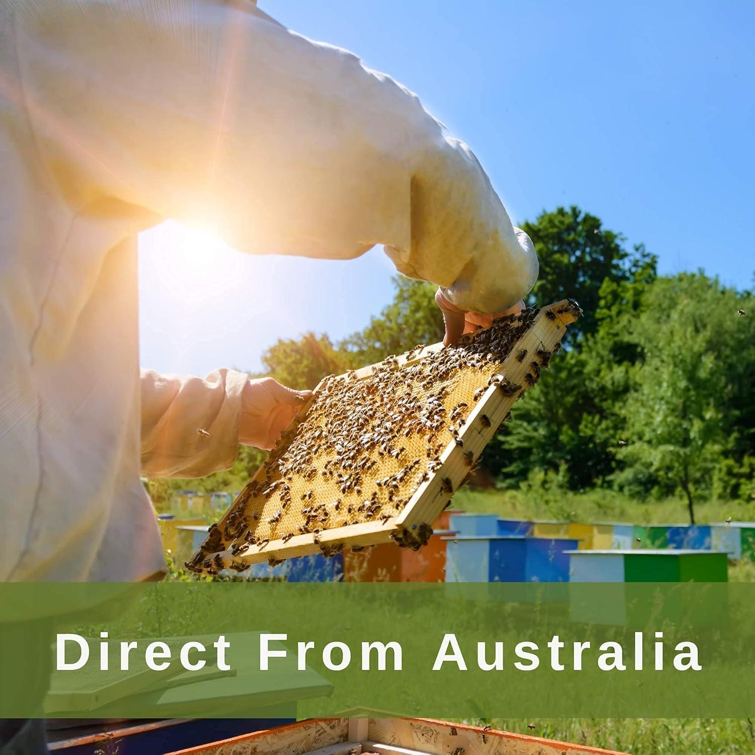 Paquete de Miel Manuka MGO 83+ y MGO 514+ 500g Orgánica