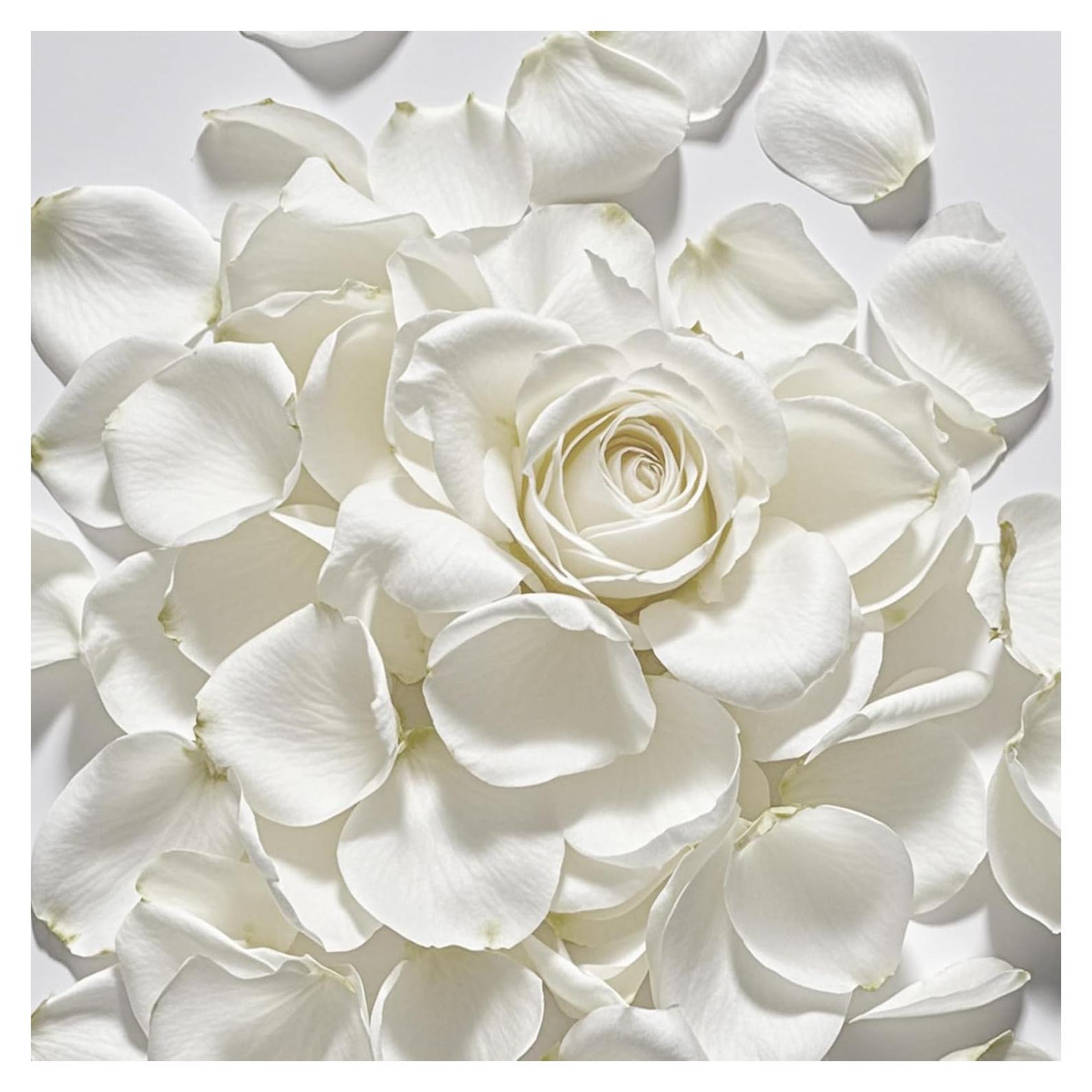 Pétalos de Rosa Secos Biodegradables ZPNUZDU 100g Blancos