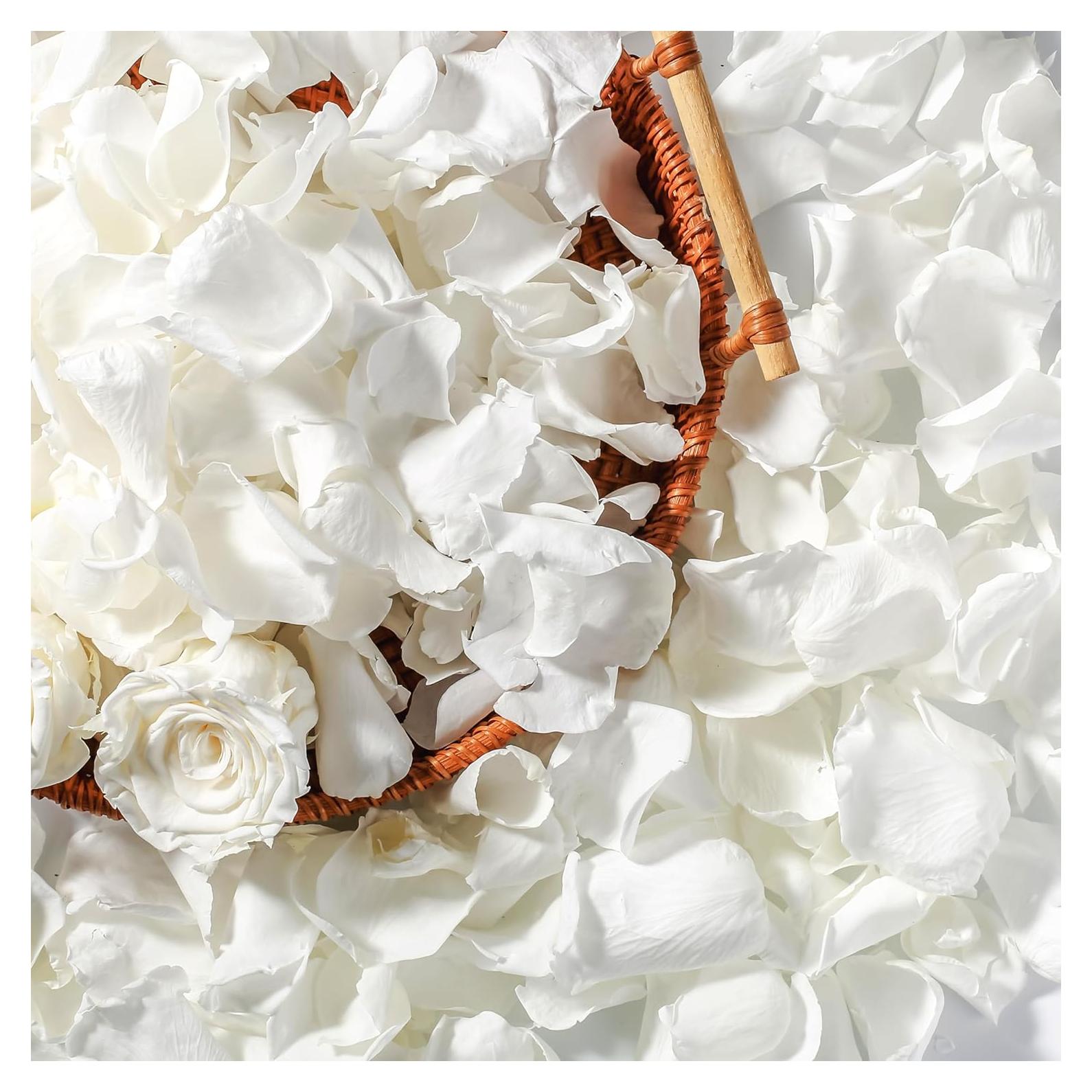 Pétalos de Rosa Blanca Marfil Secos Eslibin 45 g Decoración