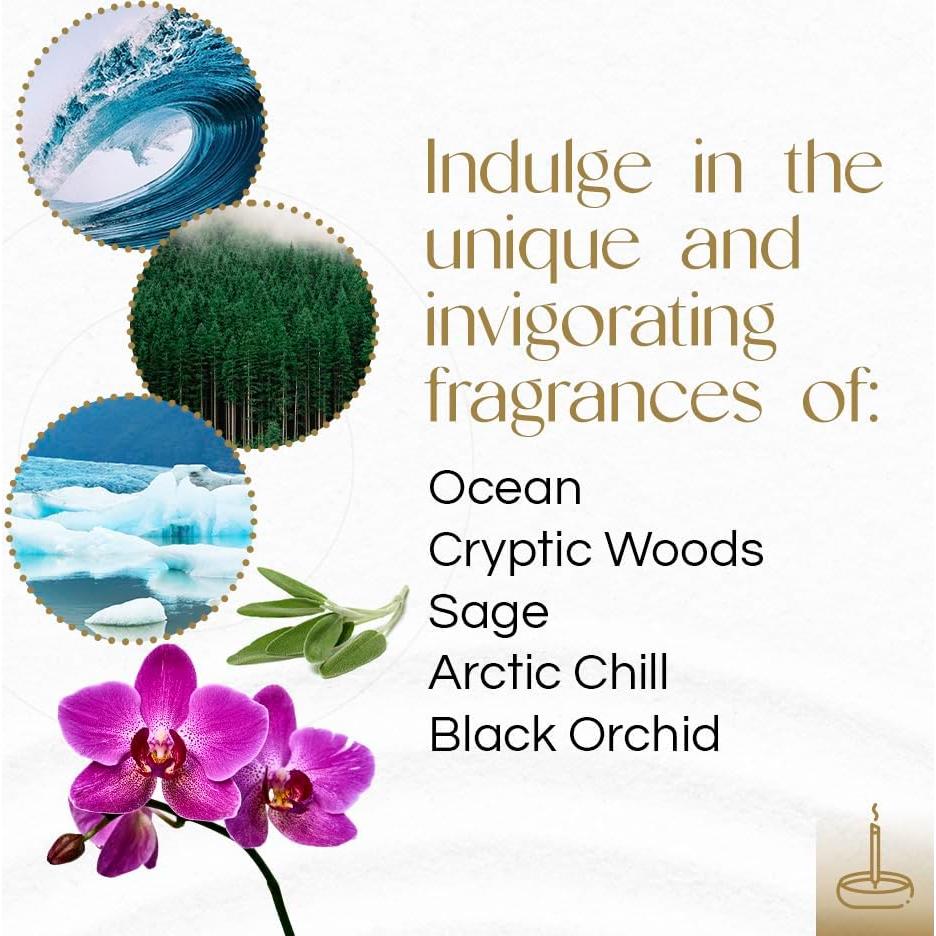 Incienso Aromático Gonesh - Variedad 5 Paquetes 20 Varitas