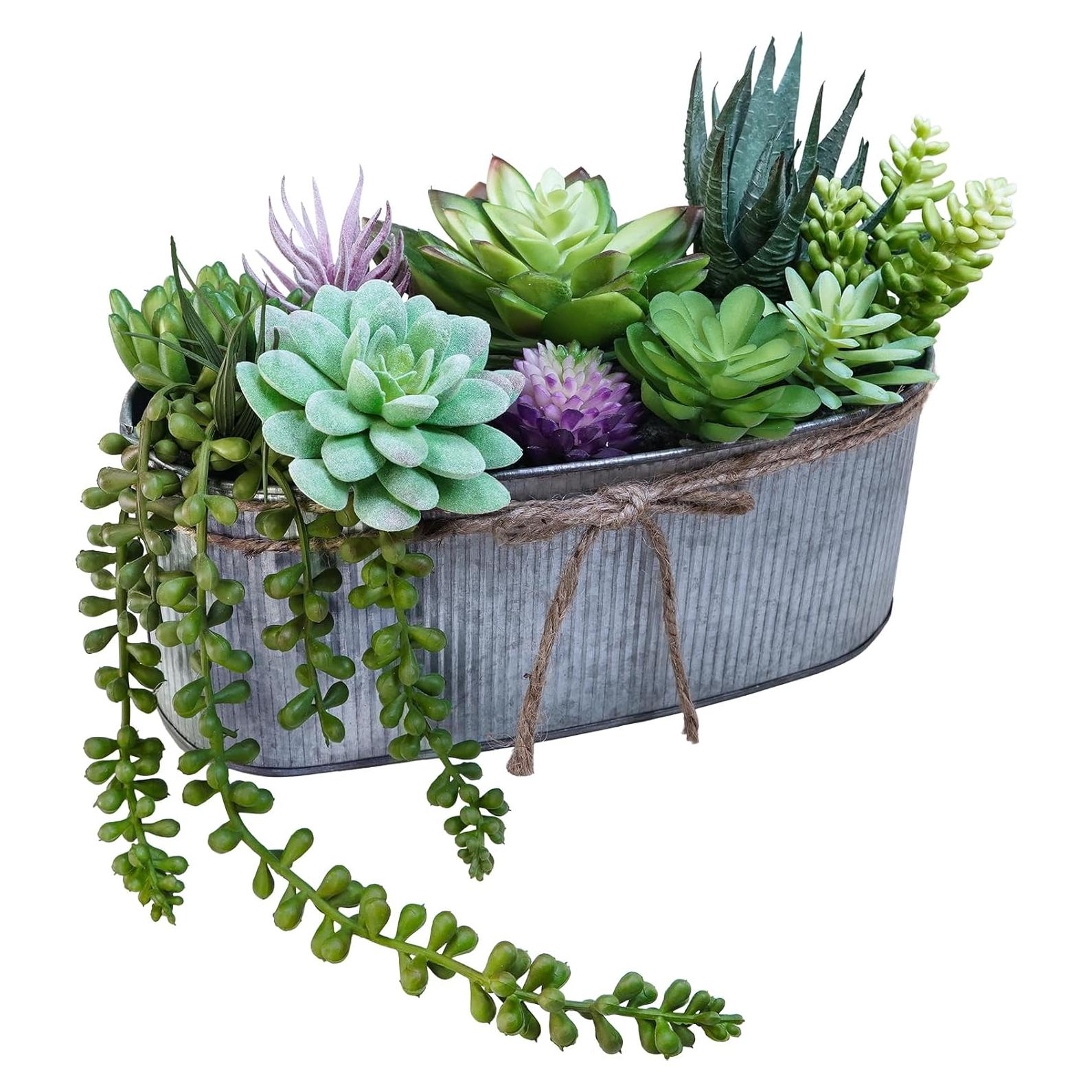 Arreglo de Suculentas Artificiales Winlyn en Maceta Ovalada 27cm