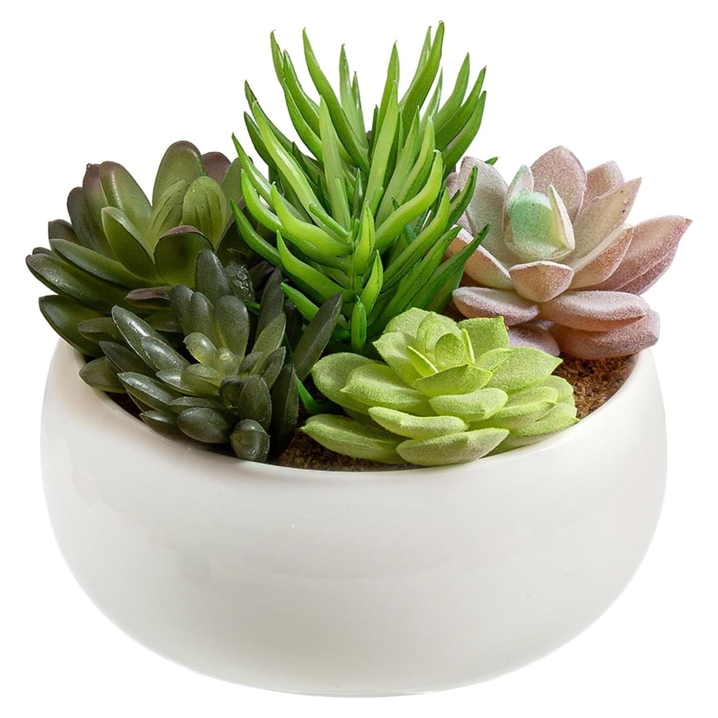 Arreglo de Suculentas Artificiales MyGift en Maceta Cerámica 15 cm