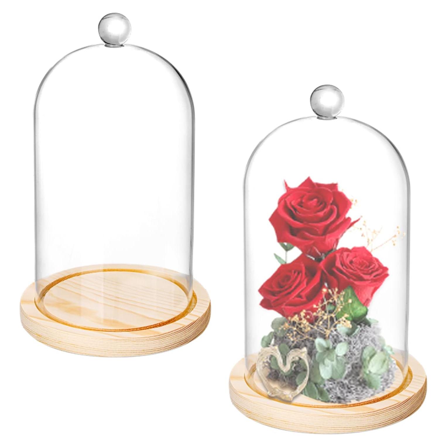 Campanas de Vidrio Lyellfe 2 Piezas con Base de Madera 20.32 cm