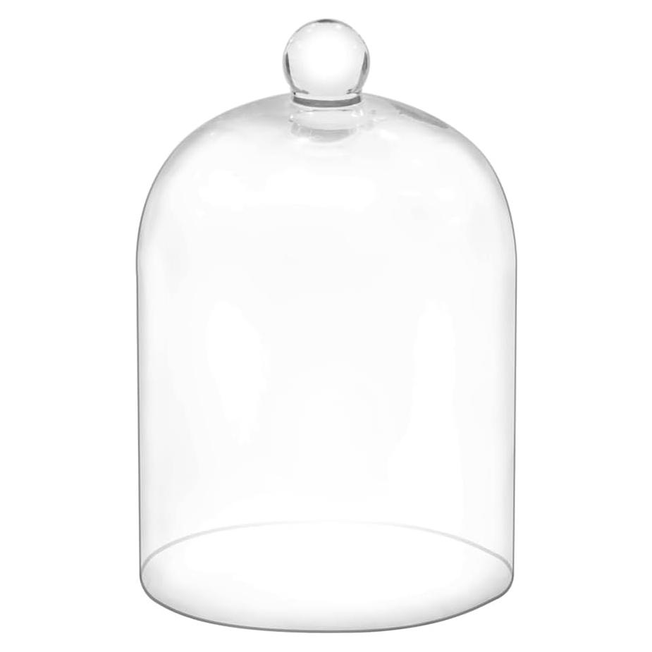 Campana de vidrio hecha a mano 19 cm para terrario y decoración