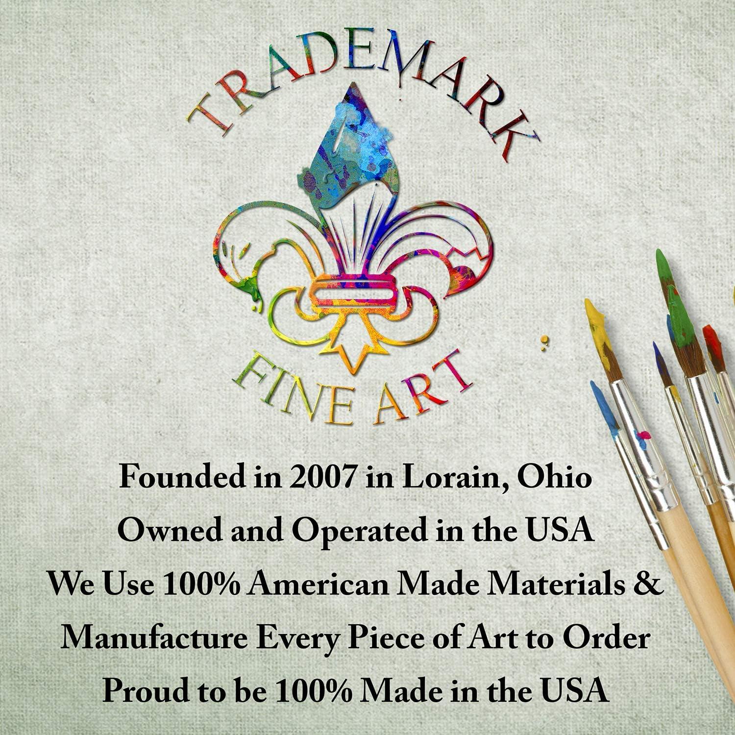 Arte en Lienzo Fabien Bravin Flor Roja 55.88x81.28 cm