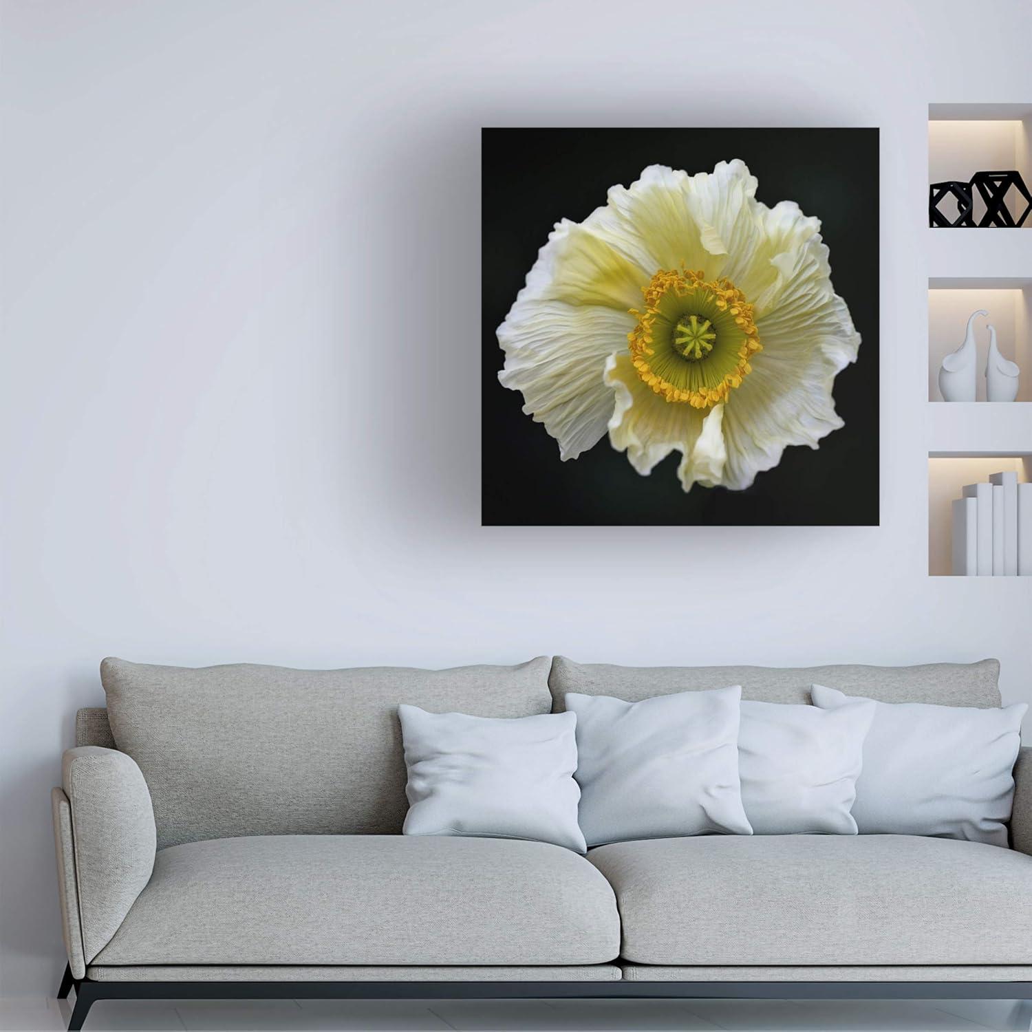 Arte en Lienzo Fabien Bravin Flor Roja 40.64x60.96 cm