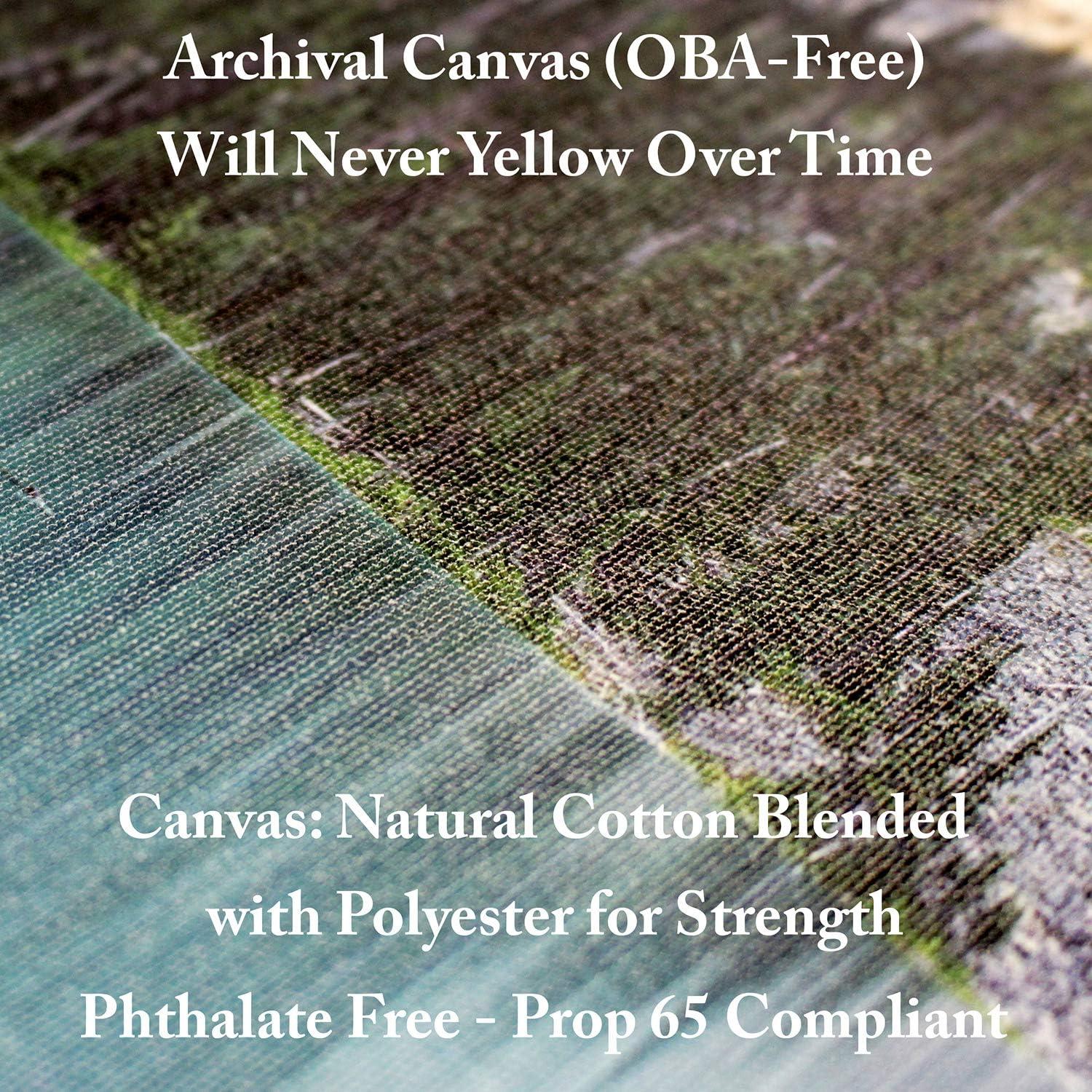 Arte en Lienzo Fabien Bravin Flor Roja 40.64x60.96 cm