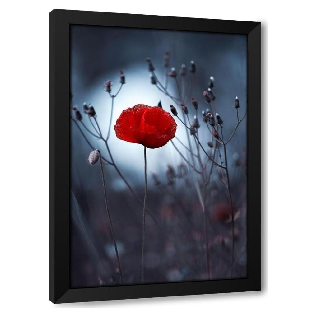 Impresión de Arte Enmarcada Fabien Bravin - Flor No Por Kenzo 33x46 a 104x152 cm