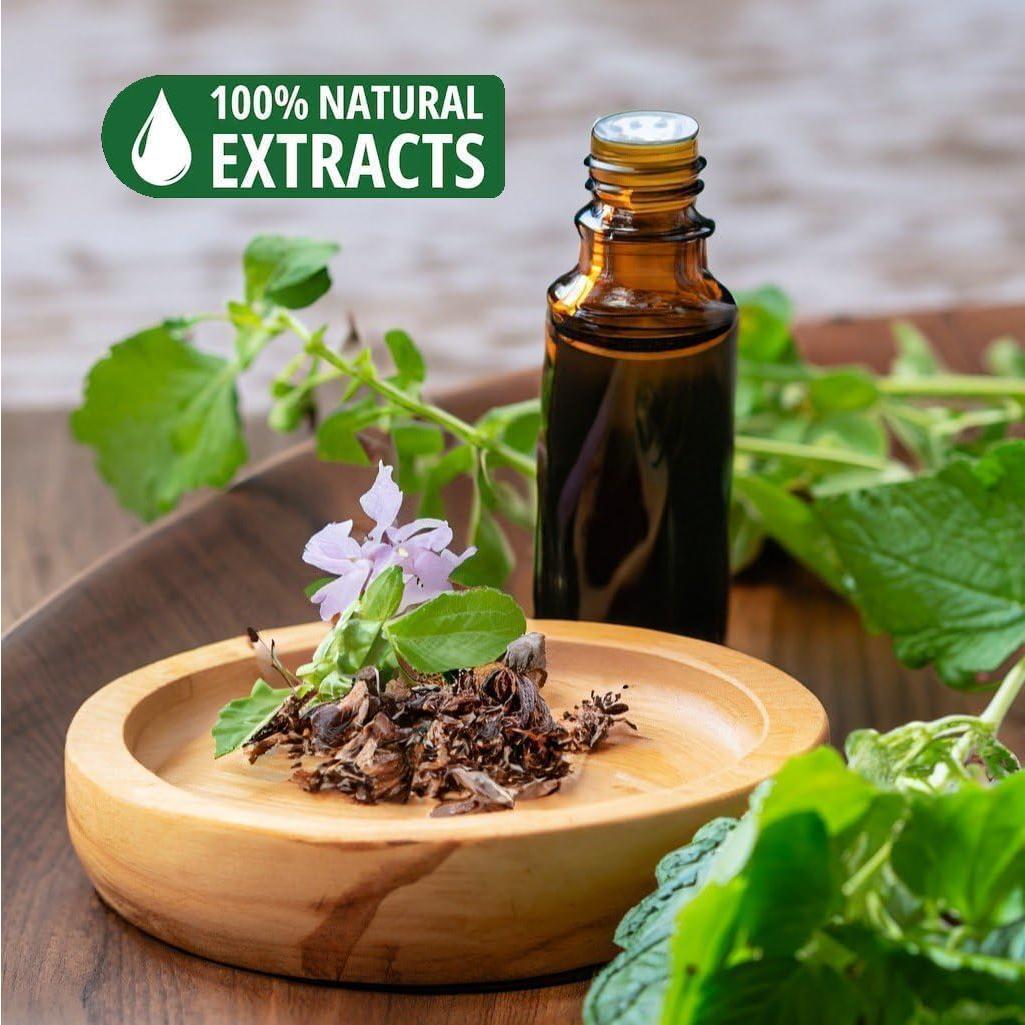 Conos de Incienso de Retroceso Patchouli Bless International - 20 Unidades