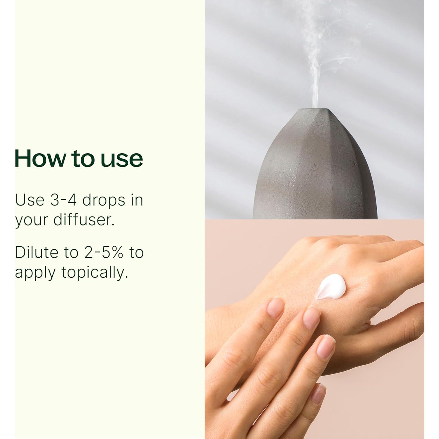 Aceite Esencial Brain Aid Plant Therapy 10 mL - Enfoque Natural