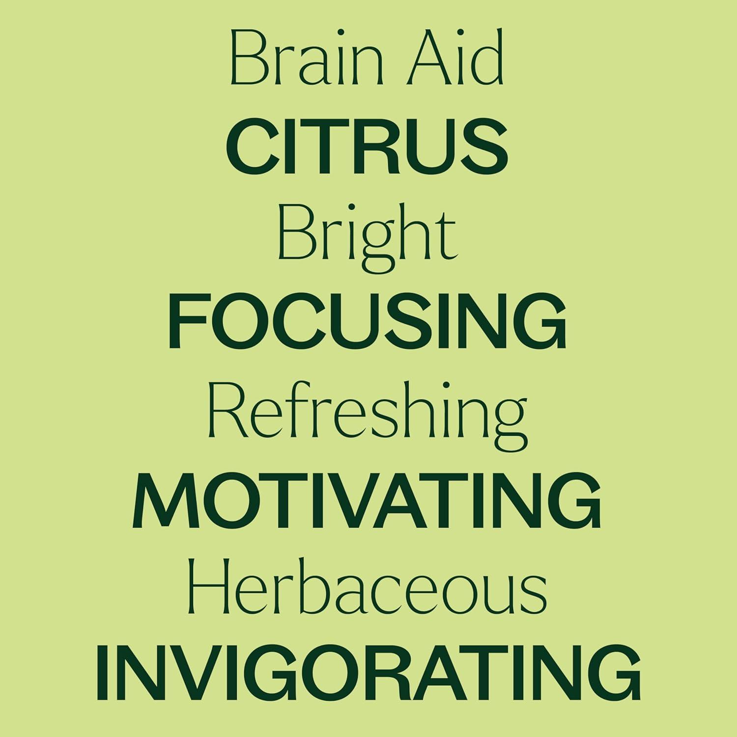 Aceite Esencial Brain Aid Plant Therapy 10 mL - Enfoque Natural