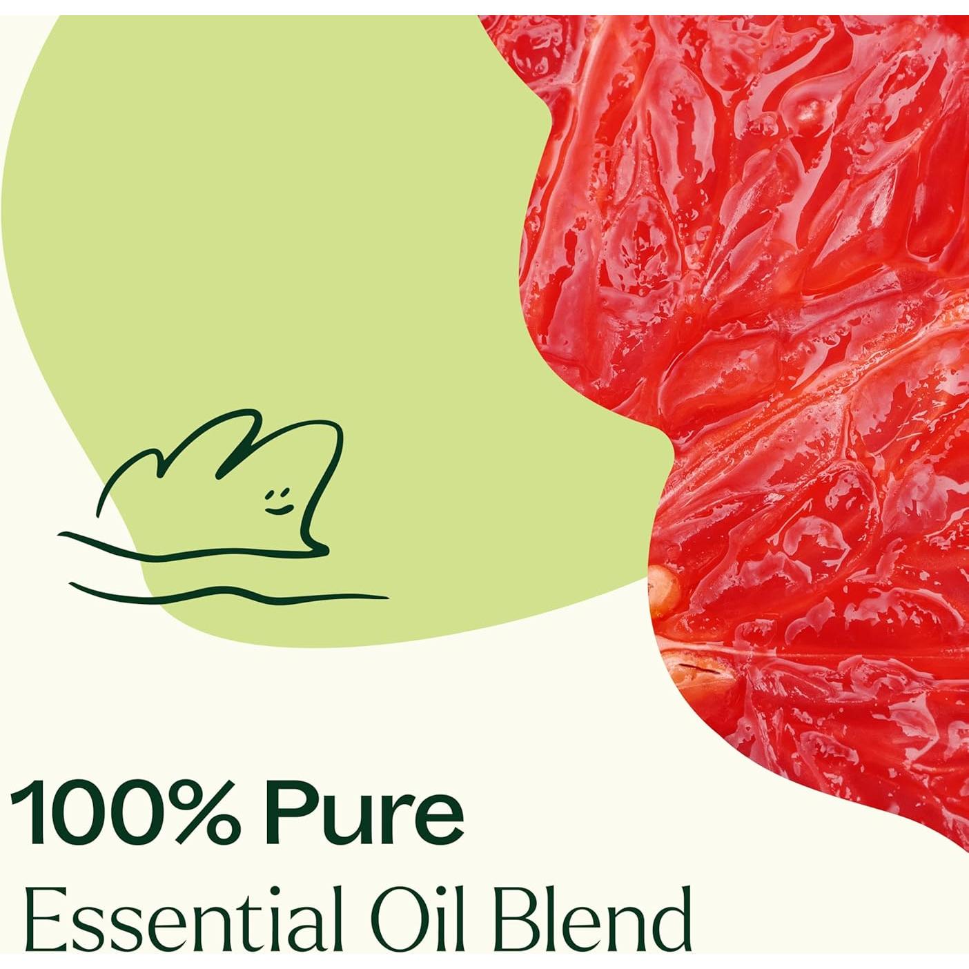 Aceite Esencial Brain Aid Plant Therapy 10 mL - Enfoque Natural