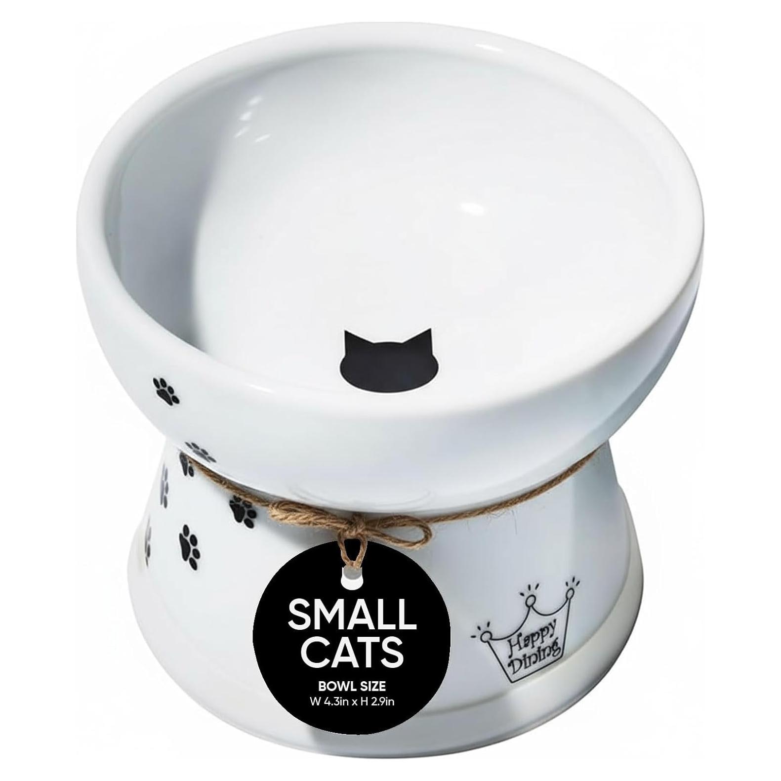 Tazón Elevado para Gato Necoichi - Cerámica Antivómito 1 Taza