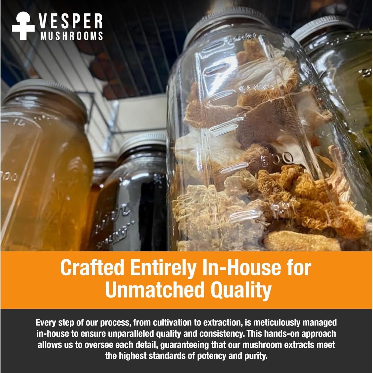 Extracto Líquido de Hongo Chaga Vesper 60 ml - Doble Extracción con Arándanos