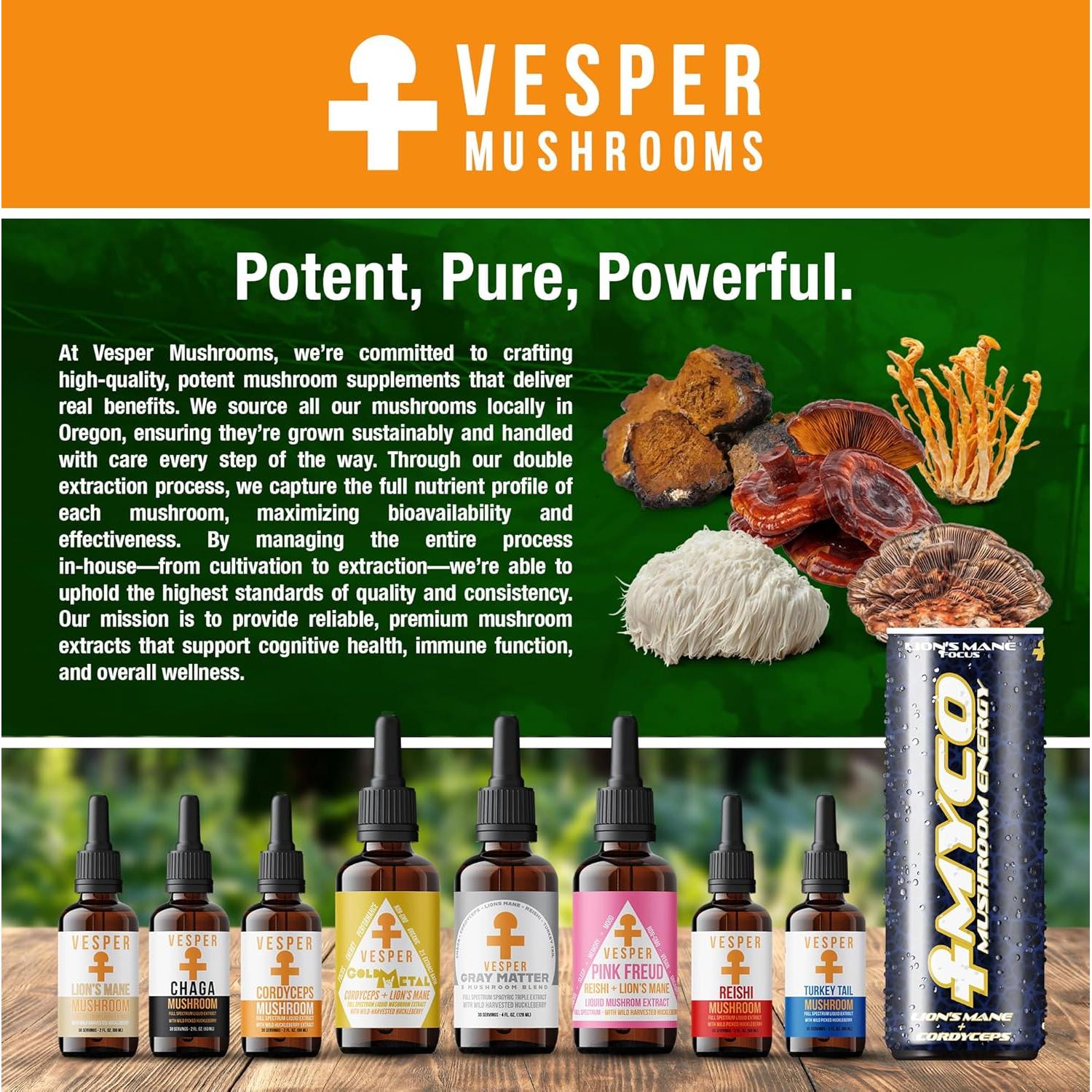 Extracto Líquido de Hongo Chaga Vesper 60 ml - Doble Extracción con Arándanos