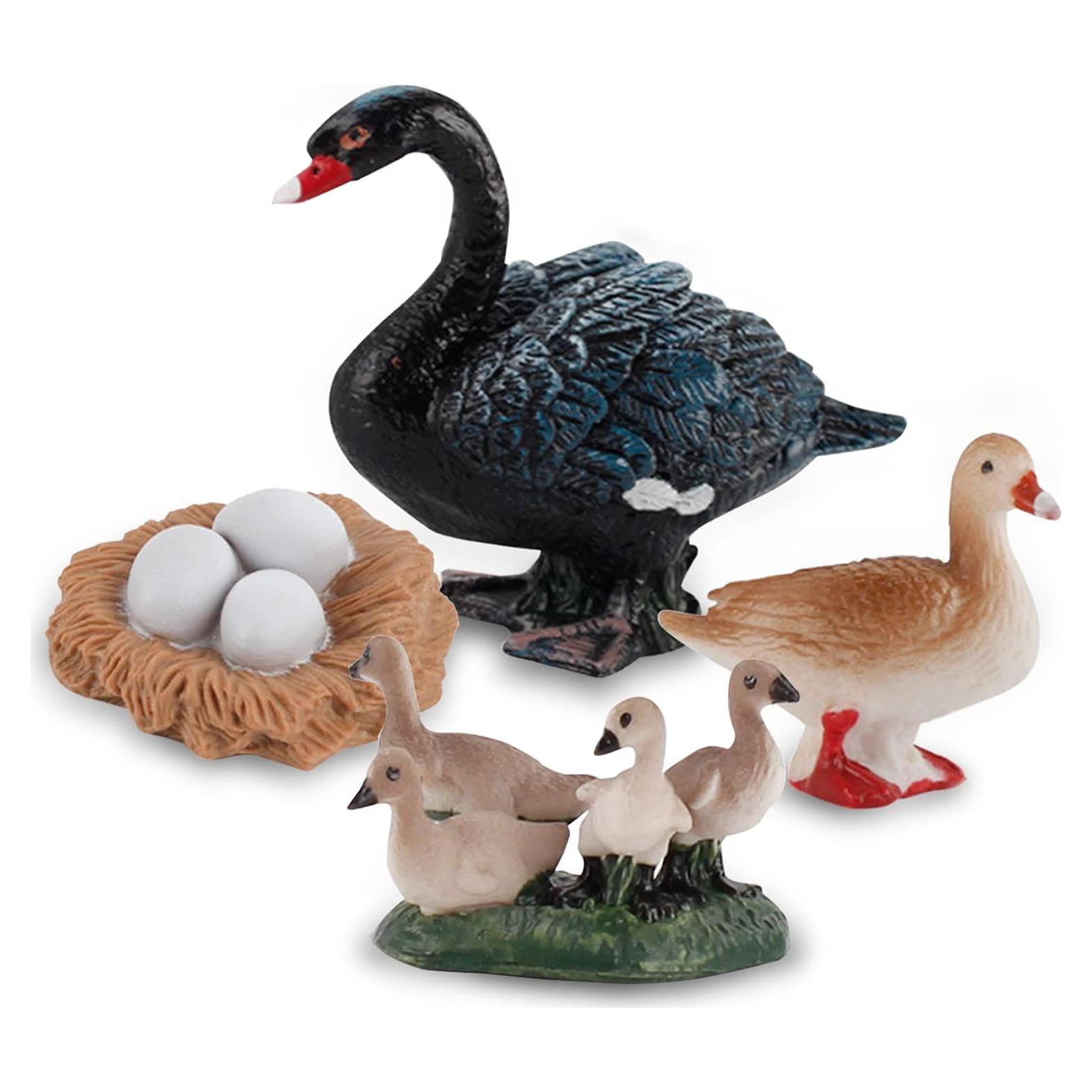Ciclo de Vida de Cisne LC JoyCre 4 Figuras Educativas
