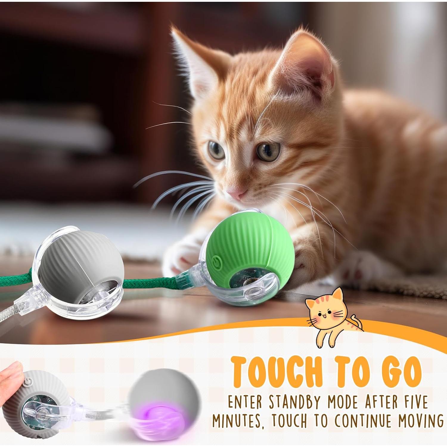 Paquete de 6 Juguetes Interactivos para Gatos WinnerWhy