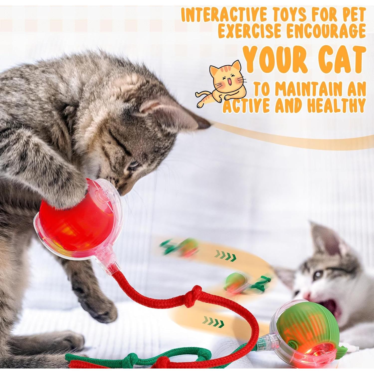 Paquete de 6 Juguetes Interactivos para Gatos WinnerWhy