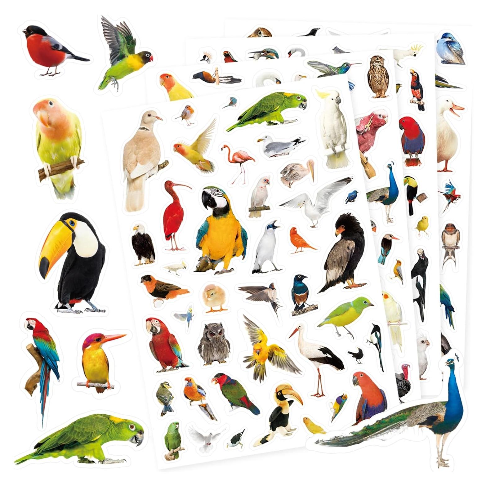 Pegatinas de Aves Genérico 850 Piezas Tropicales