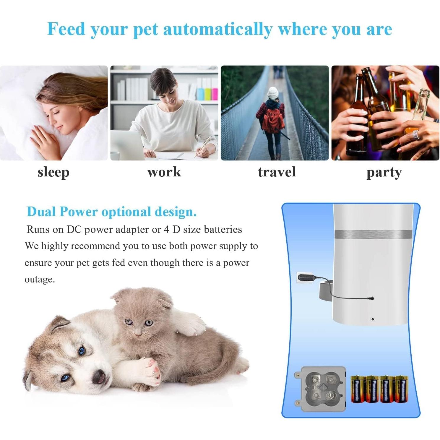 Comedero Automático WellToBe para Gatos y Perros Pequeños