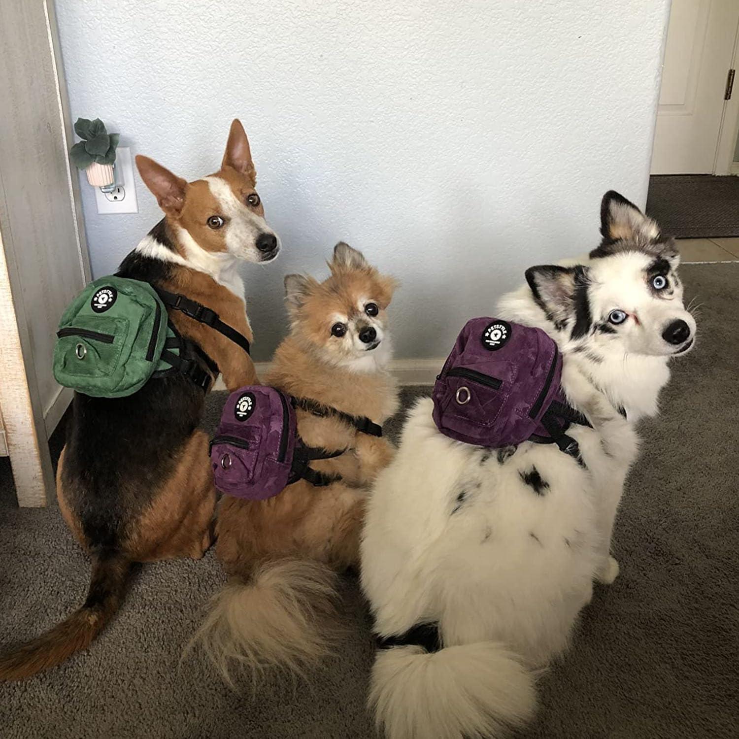 Arnés Mochila para Perros FLAdorepet L 4,54-6,80 kg Púrpura